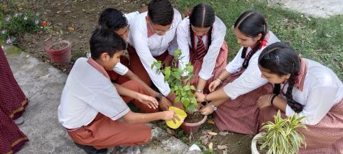 Vaishnavi Public School 6